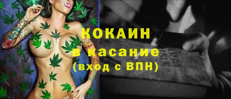 Cocaine Fish Scale  продажа наркотиков  Венёв 